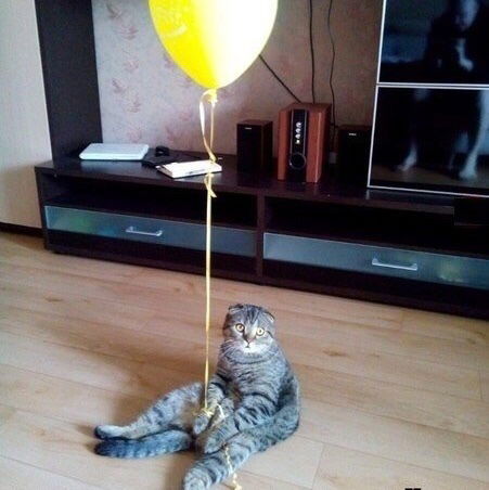 Владислав Сухарев