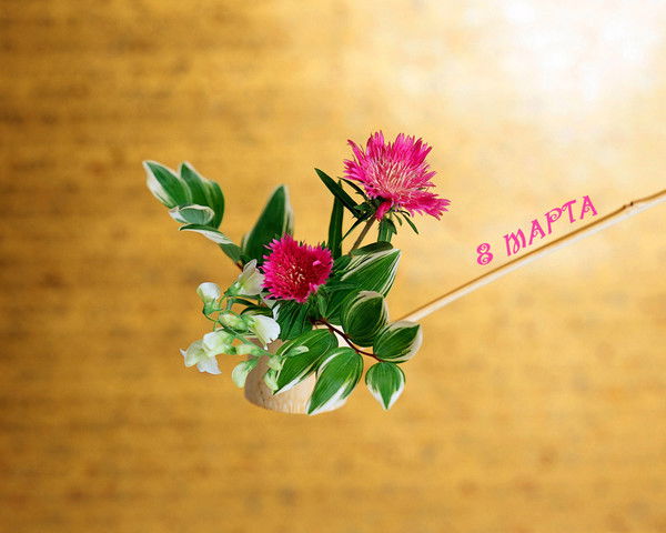 Ольга Поликарпова