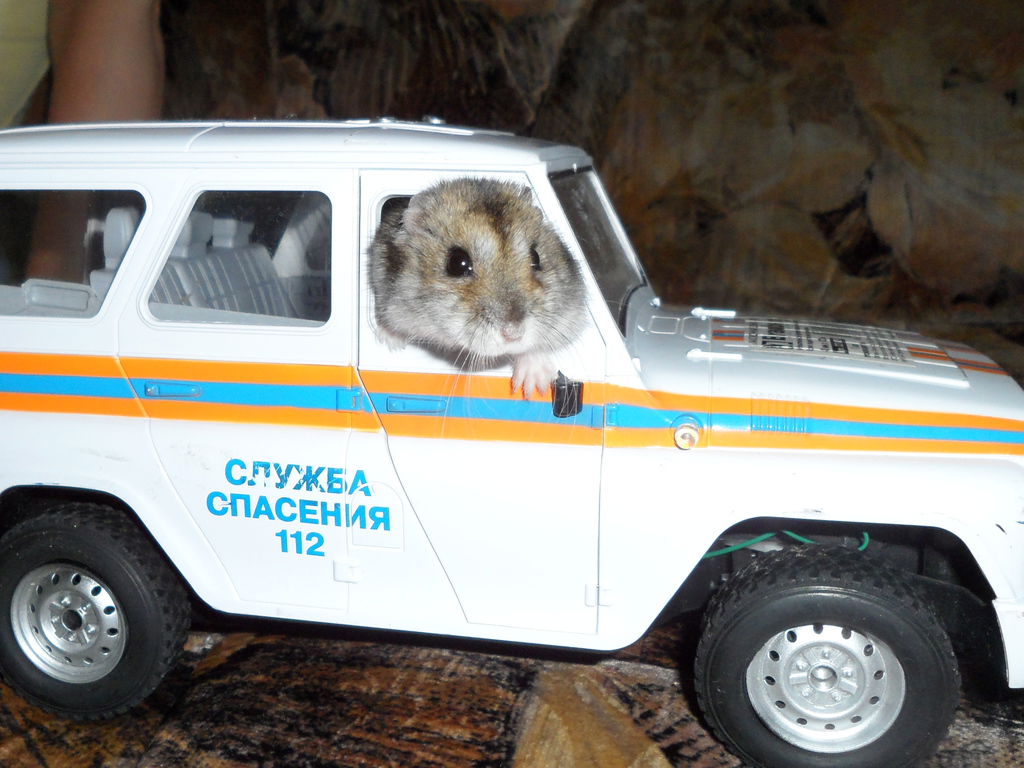 Людмила Малалеева