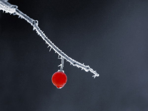 Ирина Быцюк