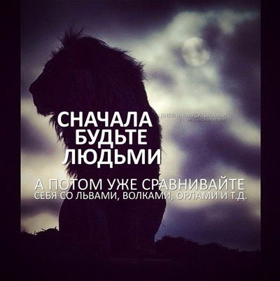 Руслан Ахмедов