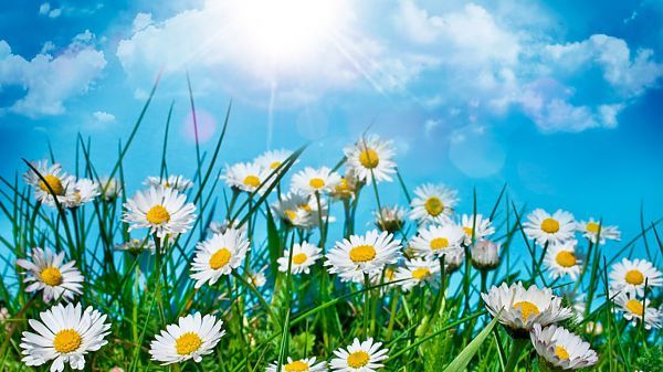 Джамиля Маматова