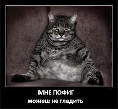 Никита Шевалдин