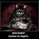 Никита Шевалдин