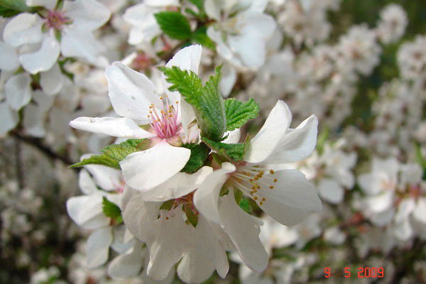 Татьяна Агафонова