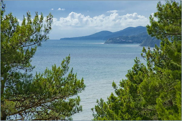 Любовь Гришина