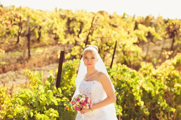 Елена Морозова