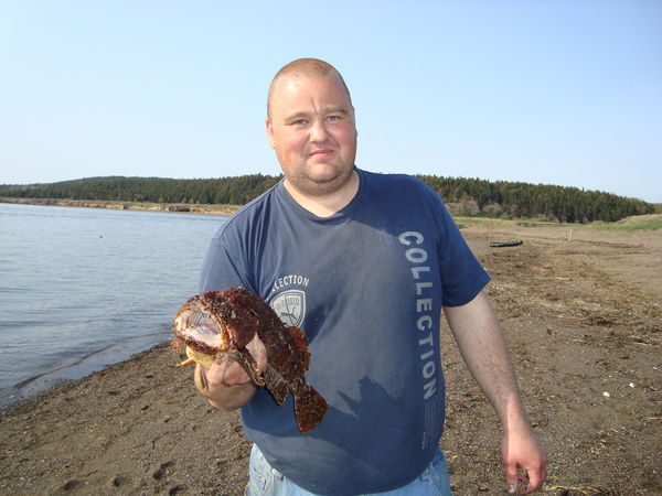 Александр Гильдебрант