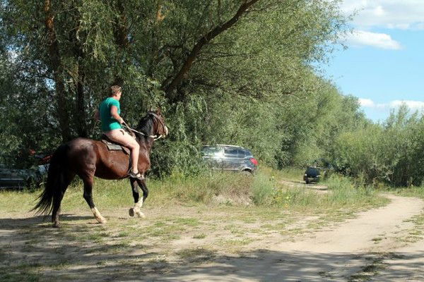 А Это Чей Друг?