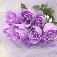 Зоряна Весна