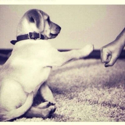 Егор Ноженко