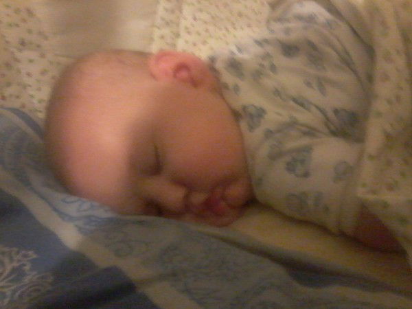 Елена Липилина