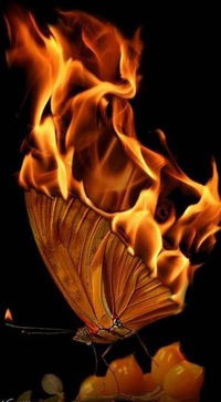 Екатерина Репина