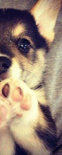 Сергей Чернов