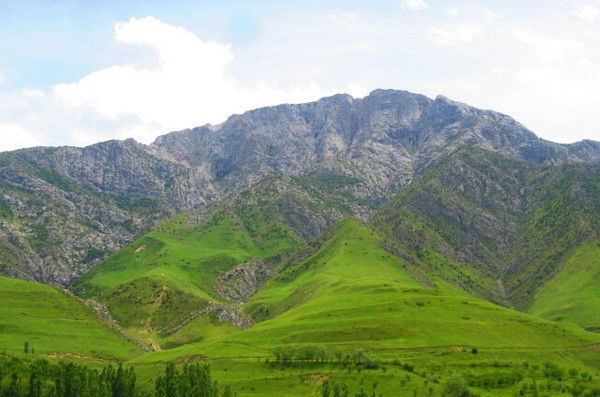 Эльдияр Токтобаев