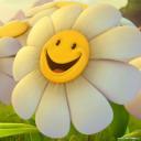 Роман Алисов