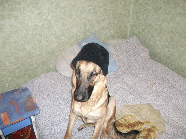 Максим Безродный