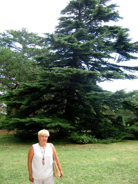 Любовь Касаткина