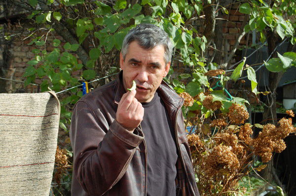 Сергей Притчин