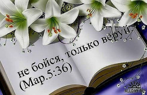 Cергей Едых