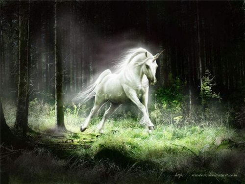 Максим Борисов