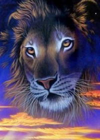 Артём Понуров