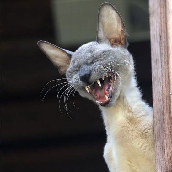 Александр Виноградов