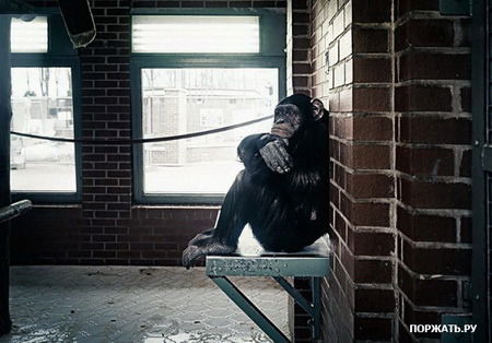 Дмитрий Прус