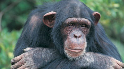 Неизвестно Неизвестно