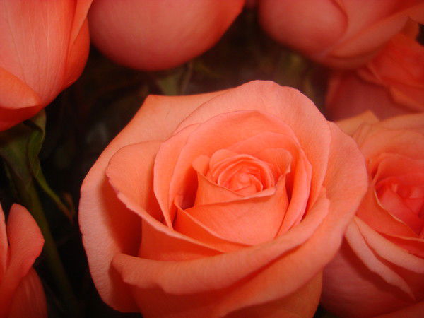 Нуржамал Шалабаева