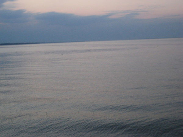 Горбачев Роман