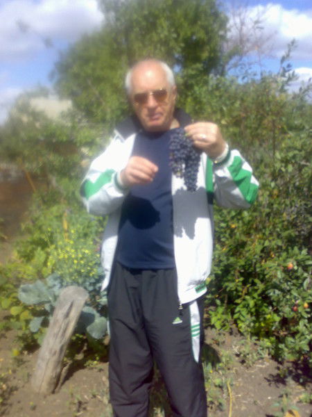 Слава Докшин