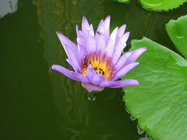 Татьяна Бец