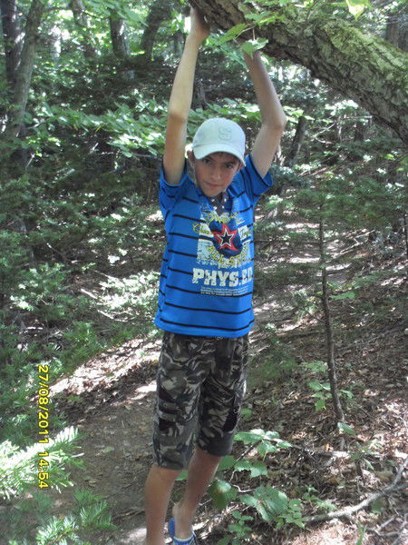 Максим Матюшин