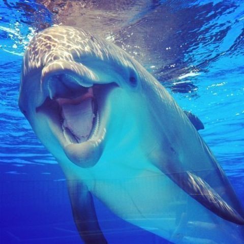 Наталья Нателла