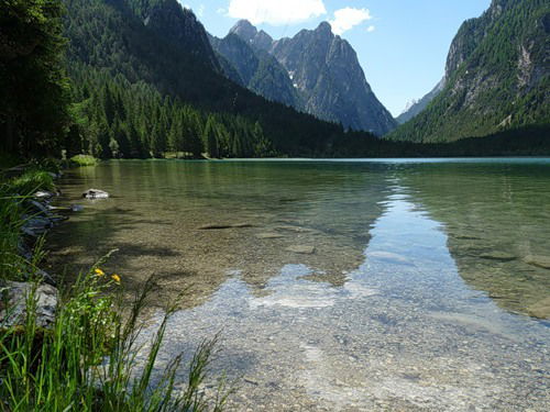 Дацаева Лайла