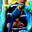 Алексей Бровнов