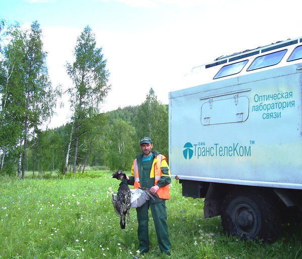 Николай Дубовский