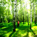Анара Умурзакова