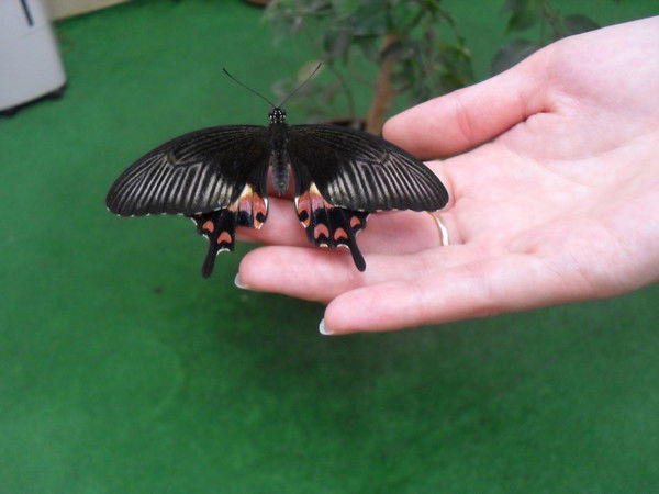 Юля Конькова