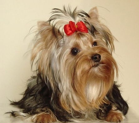 Светлана Мозгалева