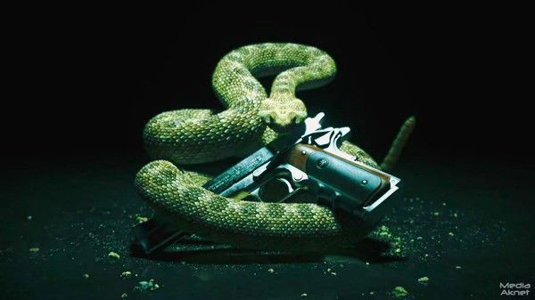 Илья Зимеров