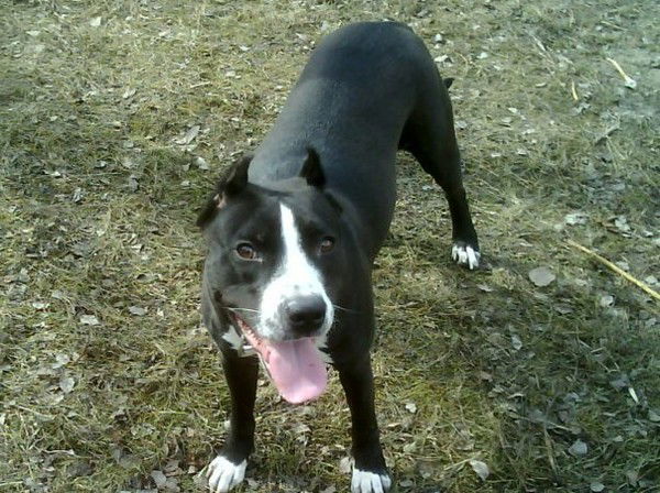 Евгений Семухин