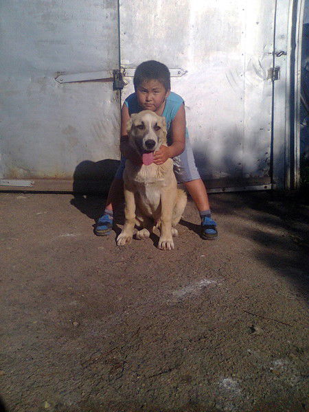 Нуртай Кайтулла