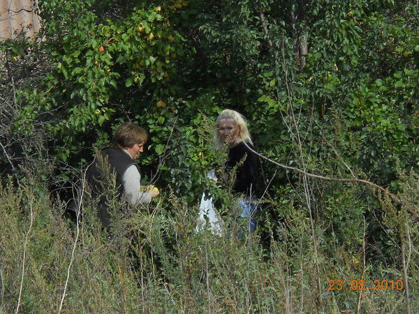 Светлана Маслова