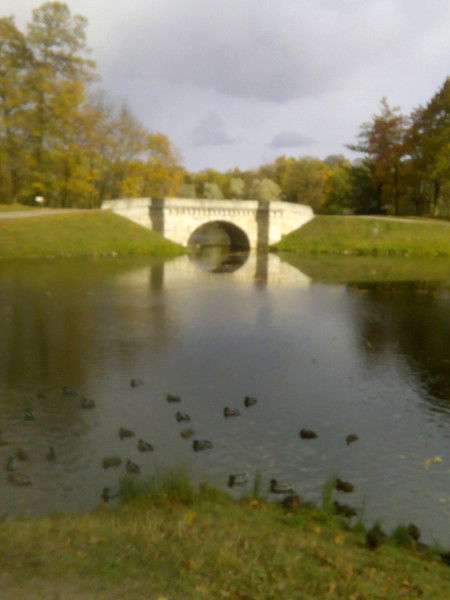 Оксана Петрученя