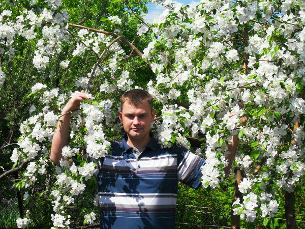 Александр Лохнев