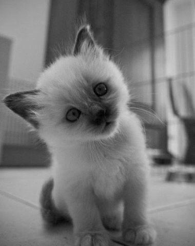 Ариночка !!!