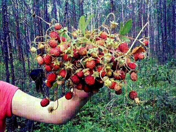 Туяра Фокина