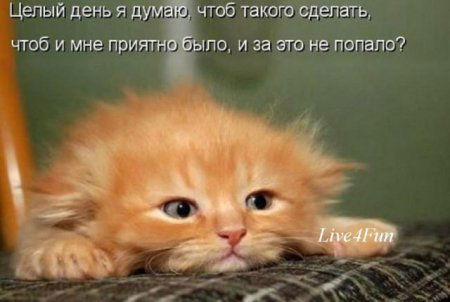 Анюта Ильина